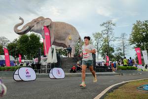 BIB: 
                            <button type="button" onclick="openModal(26528767)" class="btn btn-primary btn-sm float-right btn-popup" data-toggle="modal" data-target=".modal-high-quality">
                        <i class="fas fa-shopping-cart"></i> Add to Cart
                    </button>
                                            <button type="button" onclick="isThisMe(26528767, true)" class="btn btn-success btn-sm float-right btn-popup btn-isme hidden" data-toggle="tooltip" data-placement="bottom" title="นี่คือรูปของคุณใช่ไหม คลิกที่นี่เพื่อเอาเข้าอัลบั้ม">
                        <i class="fas fa-plus"></i> Add to album
                    </button>
                    <button type="button" onclick="isThisMe(26528767, false)" class="btn btn-warning btn-sm float-right btn-popup btn-isnotme hidden">
                        <i class="fas fa-ban"></i> Remove from album
                    </button>